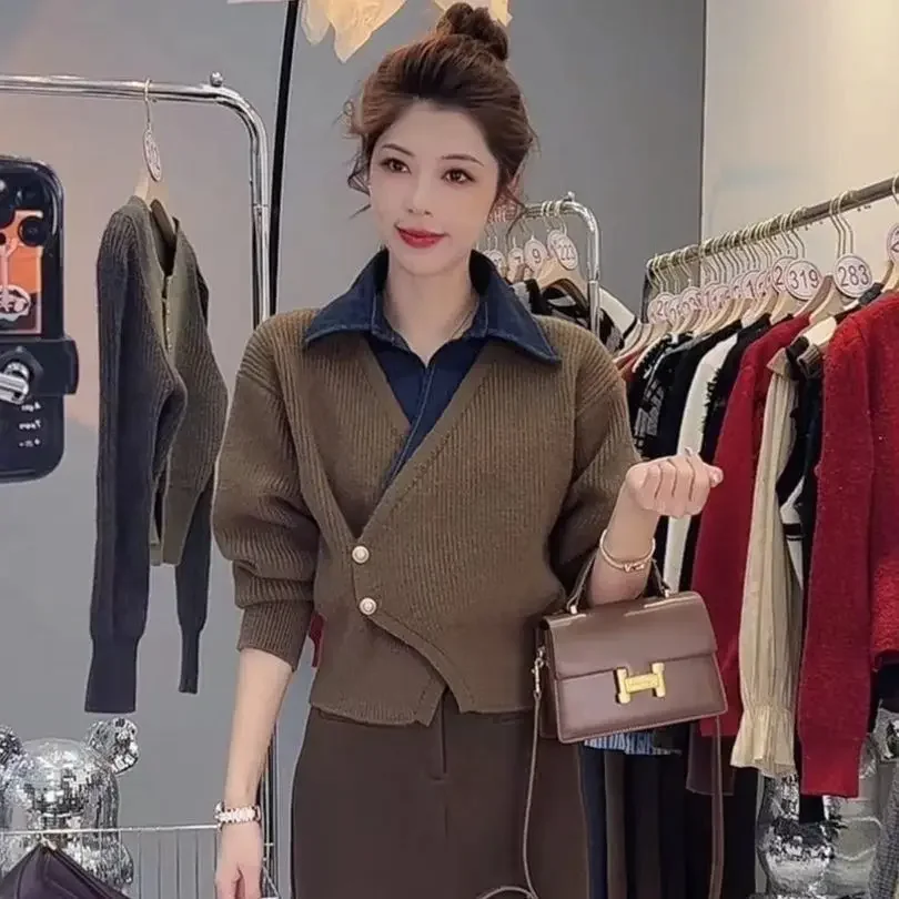 Winter Clothing Offer - Kaus Polo Wanita rajutan longgar komuter